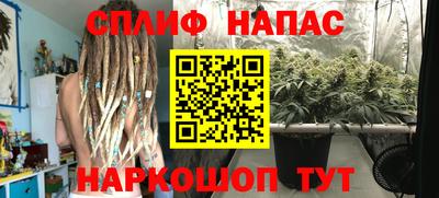 apvp Будённовск