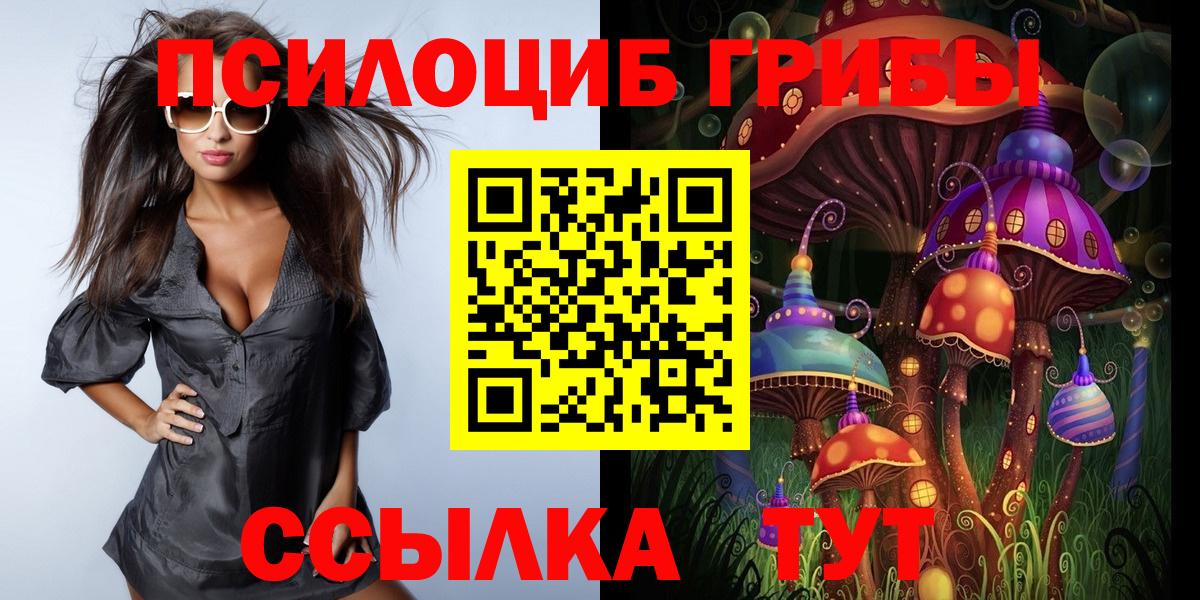 Псилоцибиновые грибы мицелий Рославль